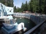 http://social.admnsk.ru/SiteKCSON/kirKCSON/DocLib7/715.JPG