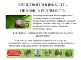 http://social.admnsk.ru/SiteKCSON/kirKCSON/DocLib7/864(1).jpg