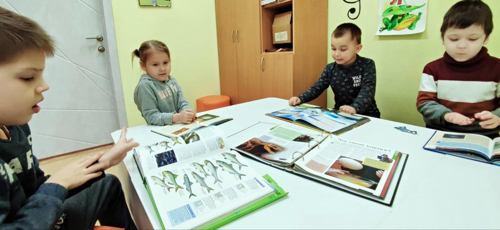 http://social.admnsk.ru/SiteKCSON/nadezhda/DocLib7/1208(1).jpg