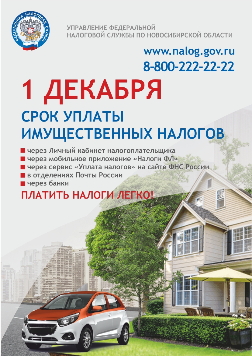 http://social.admnsk.ru/SiteKCSON/nadezhda/DocLib7/831(1).jpg