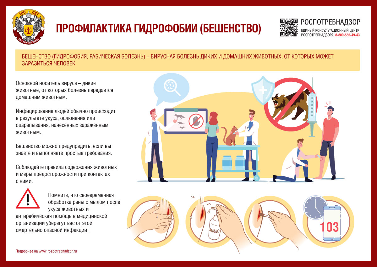 http://social.admnsk.ru/SiteKCSON/nadezhda/DocLib7/965(1).jpg