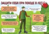 http://social.admnsk.ru/SiteKCSON/nadezhda/DocLib7/1350(1).jpg