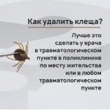 http://social.admnsk.ru/SiteKCSON/nadezhda/DocLib7/1585(1).jpg