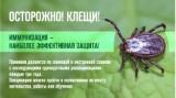 http://social.admnsk.ru/SiteKCSON/nadezhda/DocLib7/691.jpg