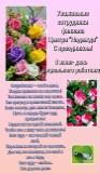 http://social.admnsk.ru/SiteKCSON/nadezhda/DocLib7/745.jpg