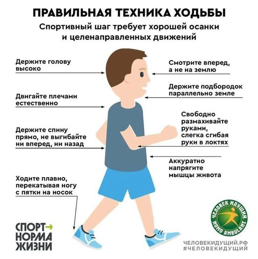 http://soc.admnsk.ru/SiteKCSON/lunkam/DocLib7/1059.jpg