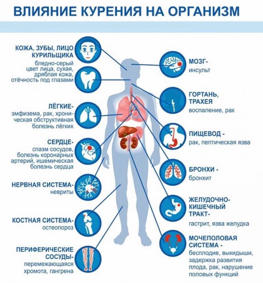 http://soc.admnsk.ru/SiteKCSON/lunkam/DocLib7/769.jpg