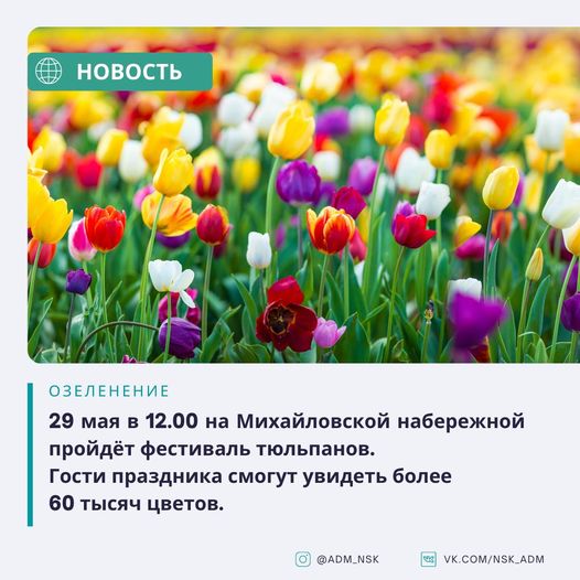 http://soc.admnsk.ru/SiteKCSON/lunkam/DocLib7/931.jpg