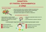 http://soc.admnsk.ru/SiteKCSON/lunkam/DocLib7/1020.jpg