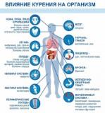 http://soc.admnsk.ru/SiteKCSON/lunkam/DocLib7/769.jpg