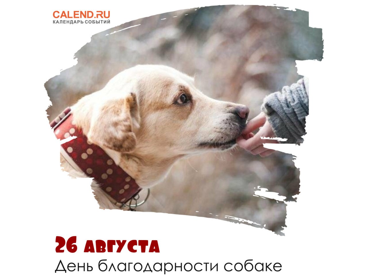 http://social.admnsk.ru/SiteKCSON/oktKCSON/DocLib7/2152.jpg