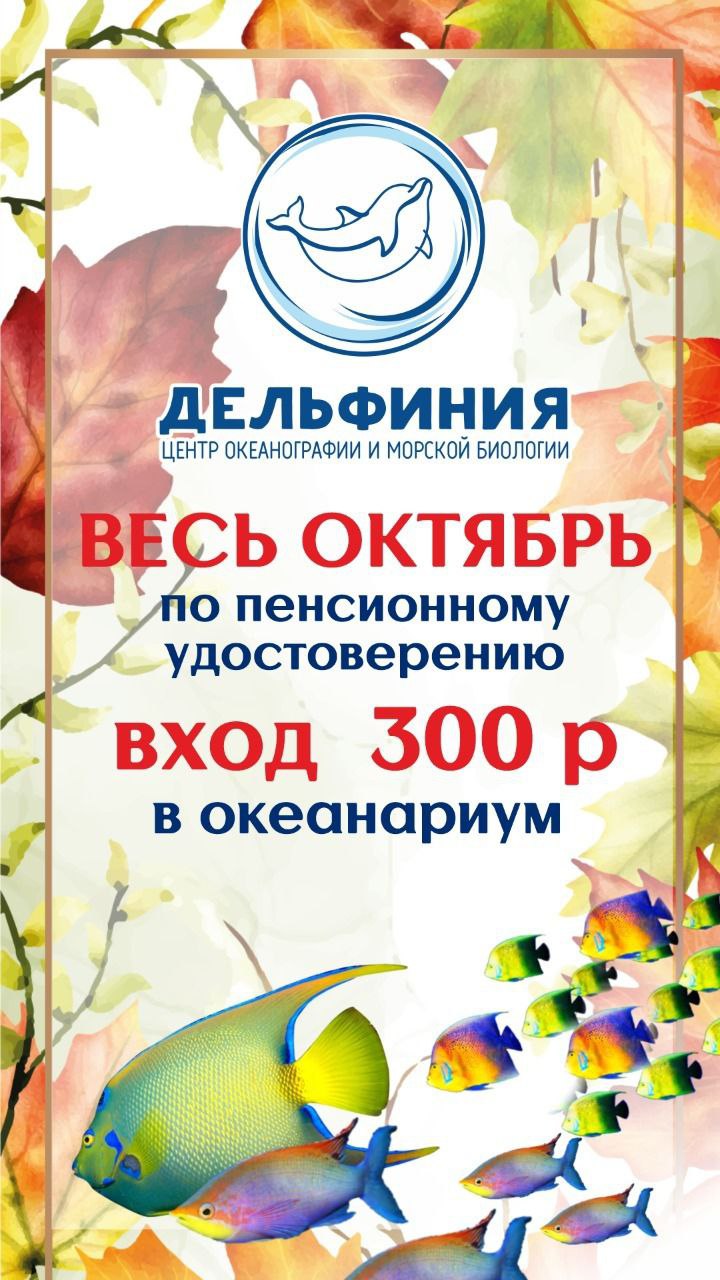 http://social.admnsk.ru/SiteKCSON/oktKCSON/DocLib7/2201.jpg