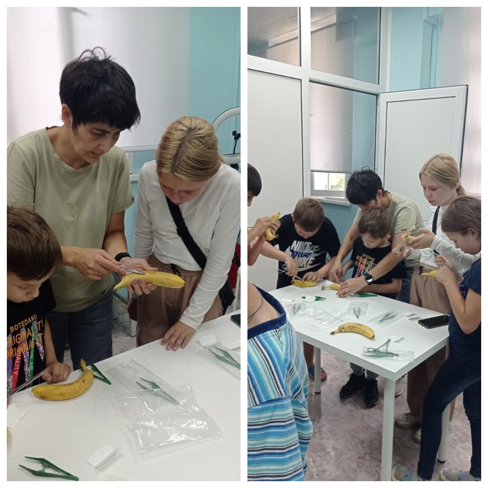http://social.admnsk.ru/SiteKCSON/oktKCSON/DocLib7/2844.jpg
