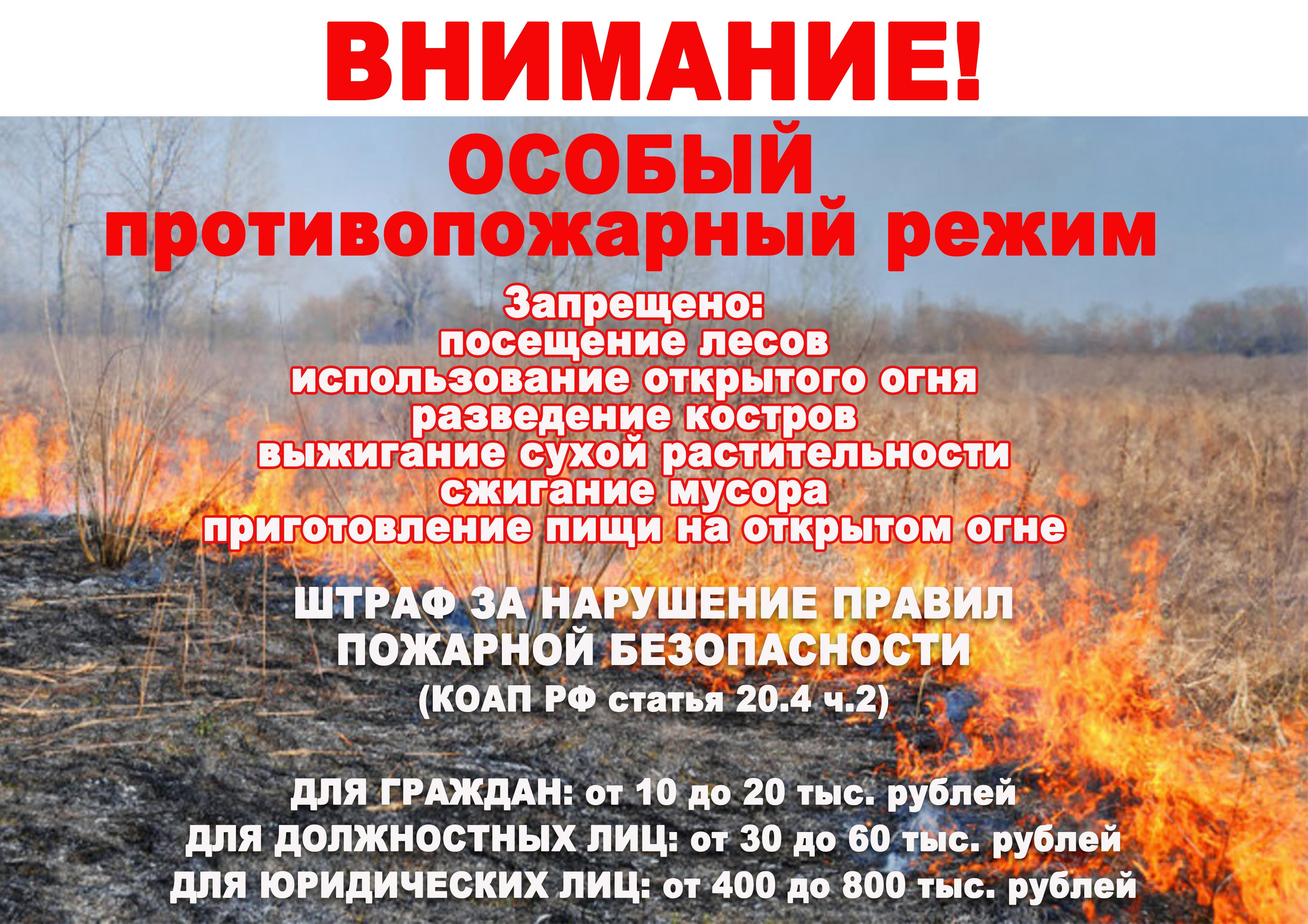 http://social.admnsk.ru/SiteKCSON/oktKCSON/DocLib7/3135.jpg