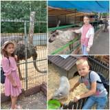http://social.admnsk.ru/SiteKCSON/oktKCSON/DocLib7/2050.jpeg