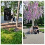 http://social.admnsk.ru/SiteKCSON/oktKCSON/DocLib7/2810.jpg