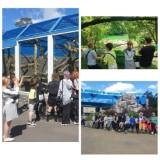 http://social.admnsk.ru/SiteKCSON/oktKCSON/DocLib7/2812.jpg
