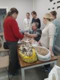 http://social.admnsk.ru/SiteKCSON/oktKCSON/DocLib7/2945.jpg