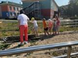 http://social.admnsk.ru/SiteKCSON/oles/DocLib7/1011.jpg