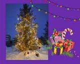 http://social.admnsk.ru/SiteKCSON/oles/DocLib7/452.jpg