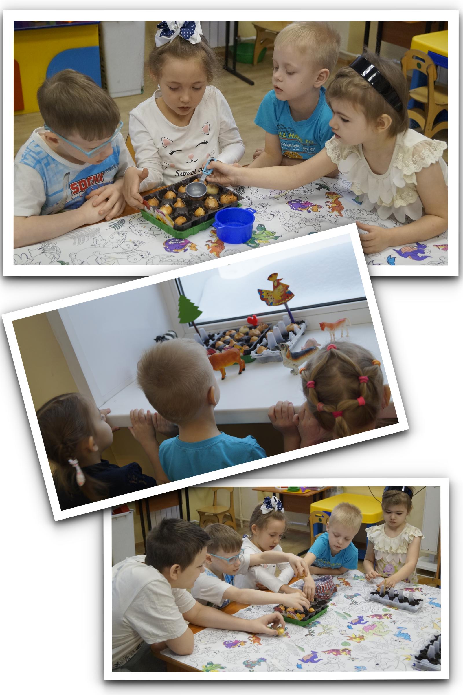 http://social.admnsk.ru/SiteKCSON/prvKCSON/DocLib7/1674.jpg