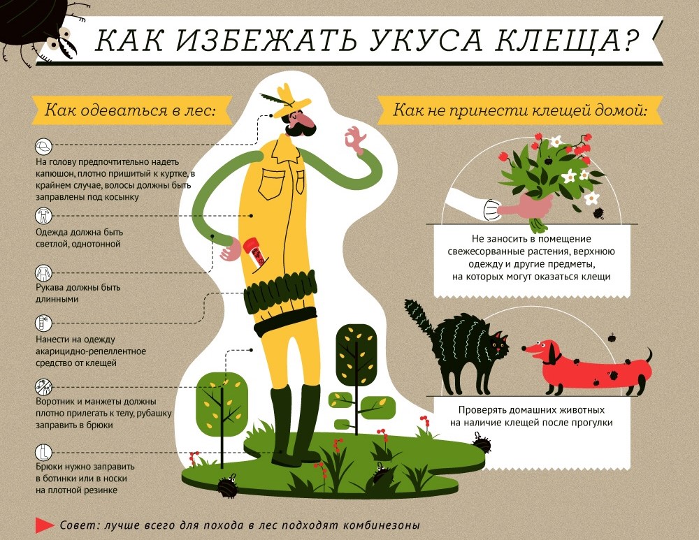 http://social.admnsk.ru/SiteKCSON/prvKCSON/DocLib7/1884.jpg