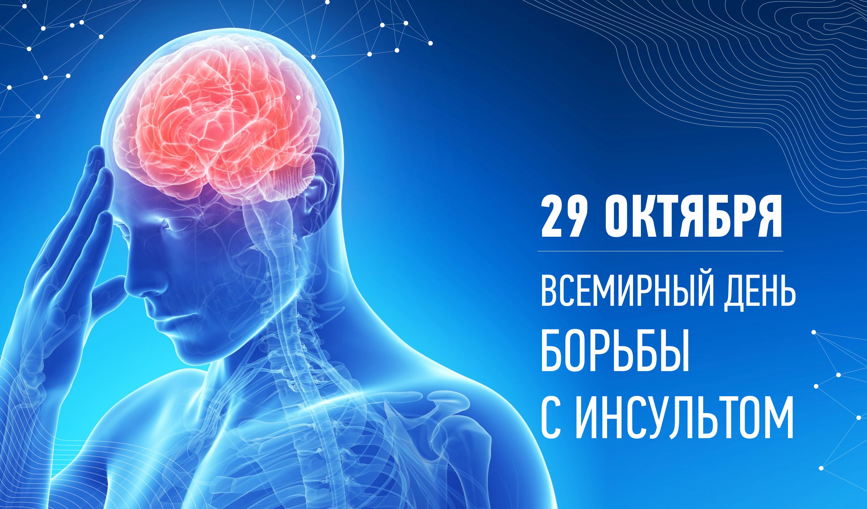 http://social.admnsk.ru/SiteKCSON/prvKCSON/DocLib7/2010(1).jpg