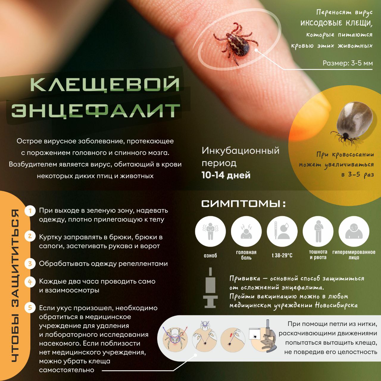 http://social.admnsk.ru/SiteKCSON/prvKCSON/DocLib7/2625(1).jpg