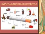 http://social.admnsk.ru/SiteKCSON/prvKCSON/DocLib7/2049(1).jpg