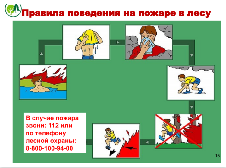 http://social.admnsk.ru/SiteKCSON/sovKCSON/DocLib7/1054.png