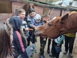 http://social.admnsk.ru/SiteKCSON/sovKCSON/DocLib7/778.jpg