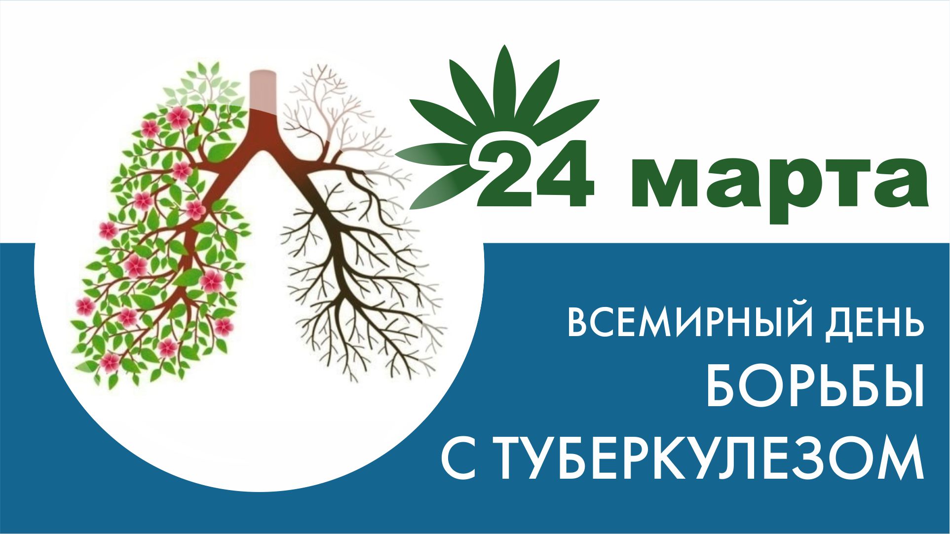 http://social.admnsk.ru/SiteKCSON/veter/DocLib7/1004.jpg