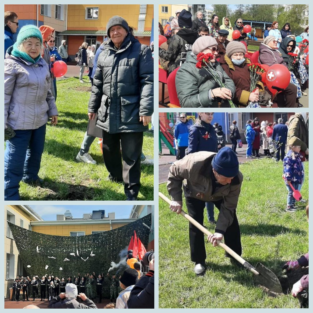 http://social.admnsk.ru/SiteKCSON/veter/DocLib7/1042.jpg