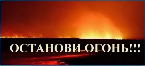 http://social.admnsk.ru/SiteKCSON/veter/DocLib7/1341.jpg