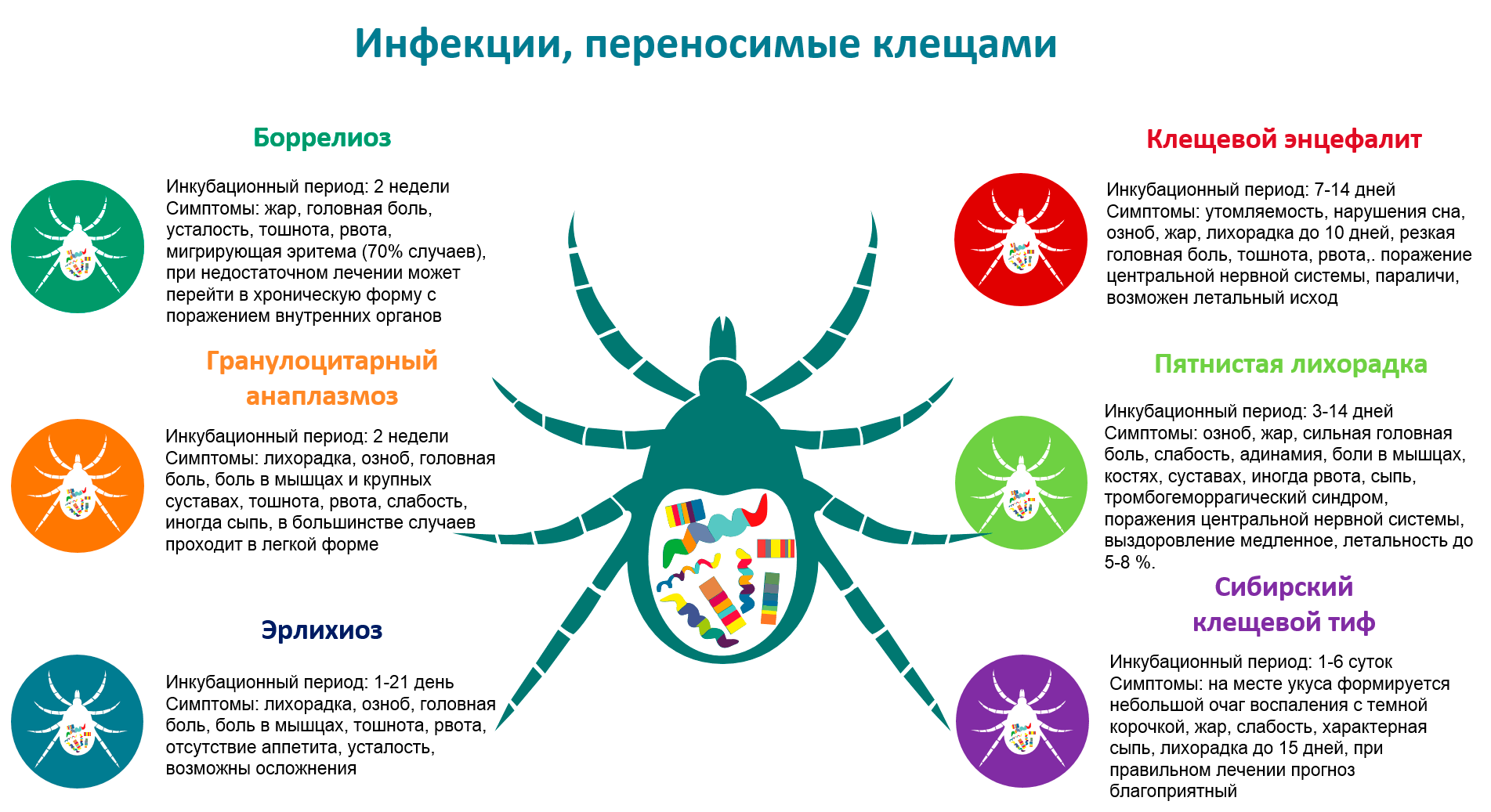 http://social.admnsk.ru/SiteKCSON/veter/DocLib7/1377.png