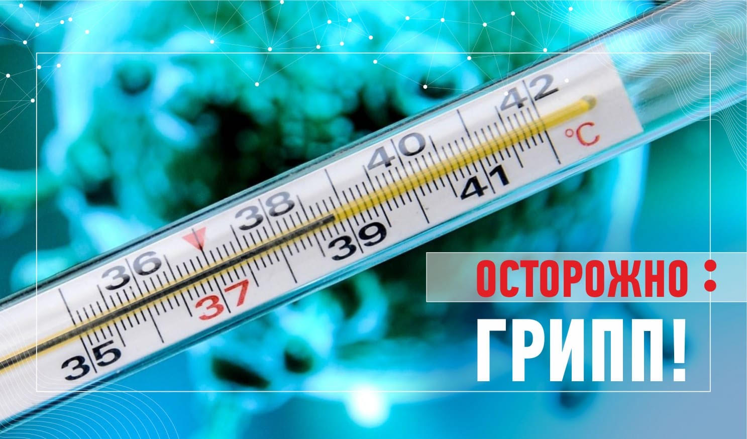 http://social.admnsk.ru/SiteKCSON/veter/DocLib7/963.jpg