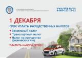 http://social.admnsk.ru/SiteKCSON/veter/DocLib7/1085.jpg