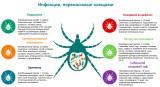 http://social.admnsk.ru/SiteKCSON/veter/DocLib7/1377.png