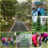 http://social.admnsk.ru/SiteKCSON/veter/DocLib7/815.jpg