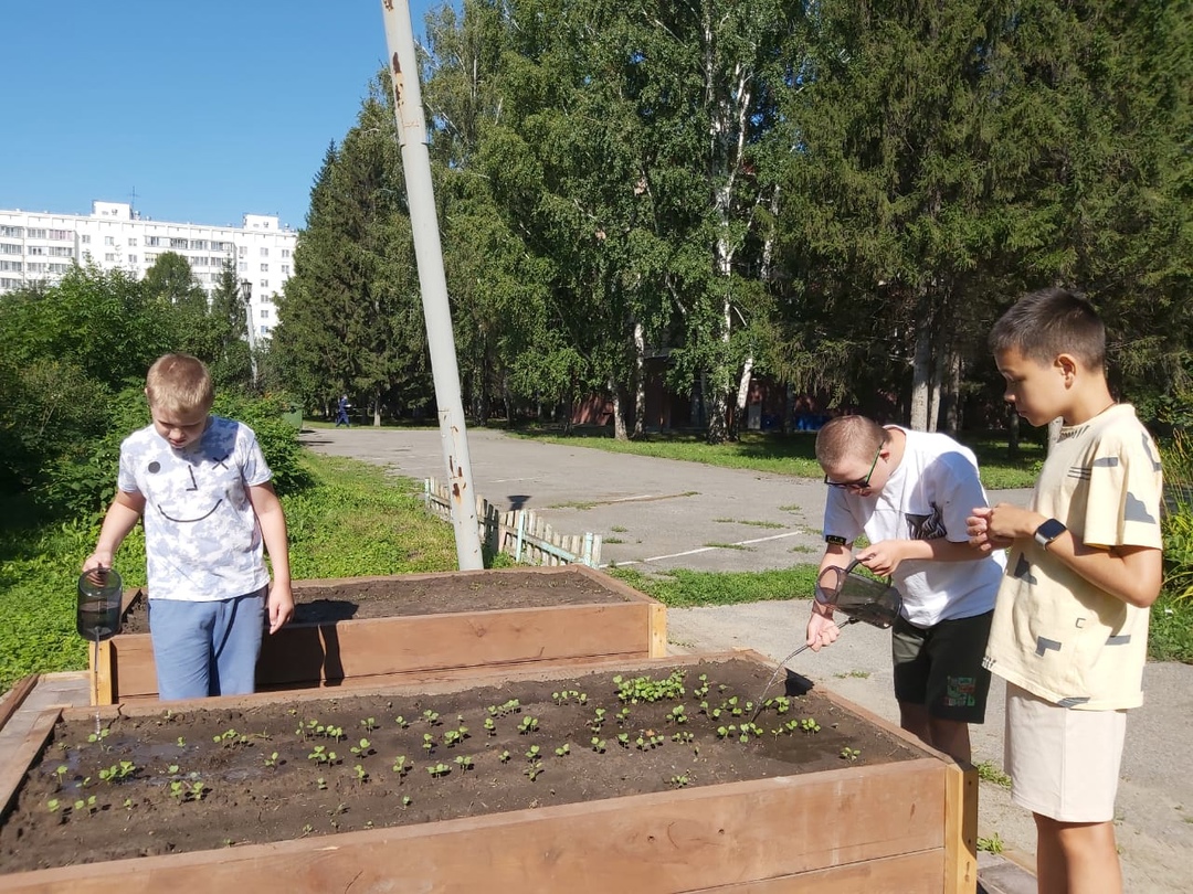 http://social.admnsk.ru/SiteKCSON/zarja/DocLib7/1794.jpg