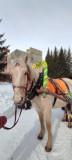 http://social.admnsk.ru/SiteKCSON/zarja/DocLib7/1012.jpg