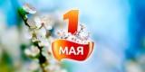 http://social.admnsk.ru/SiteKCSON/zarja/DocLib7/633.jpg