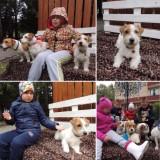 http://social.admnsk.ru/SiteKCSON/zarja/DocLib7/721.jpg
