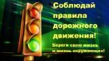 http://social.admnsk.ru/SiteKCSON/zarja/DocLib7/734.jpg