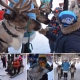http://social.admnsk.ru/SiteKCSON/zarja/DocLib7/749.jpg
