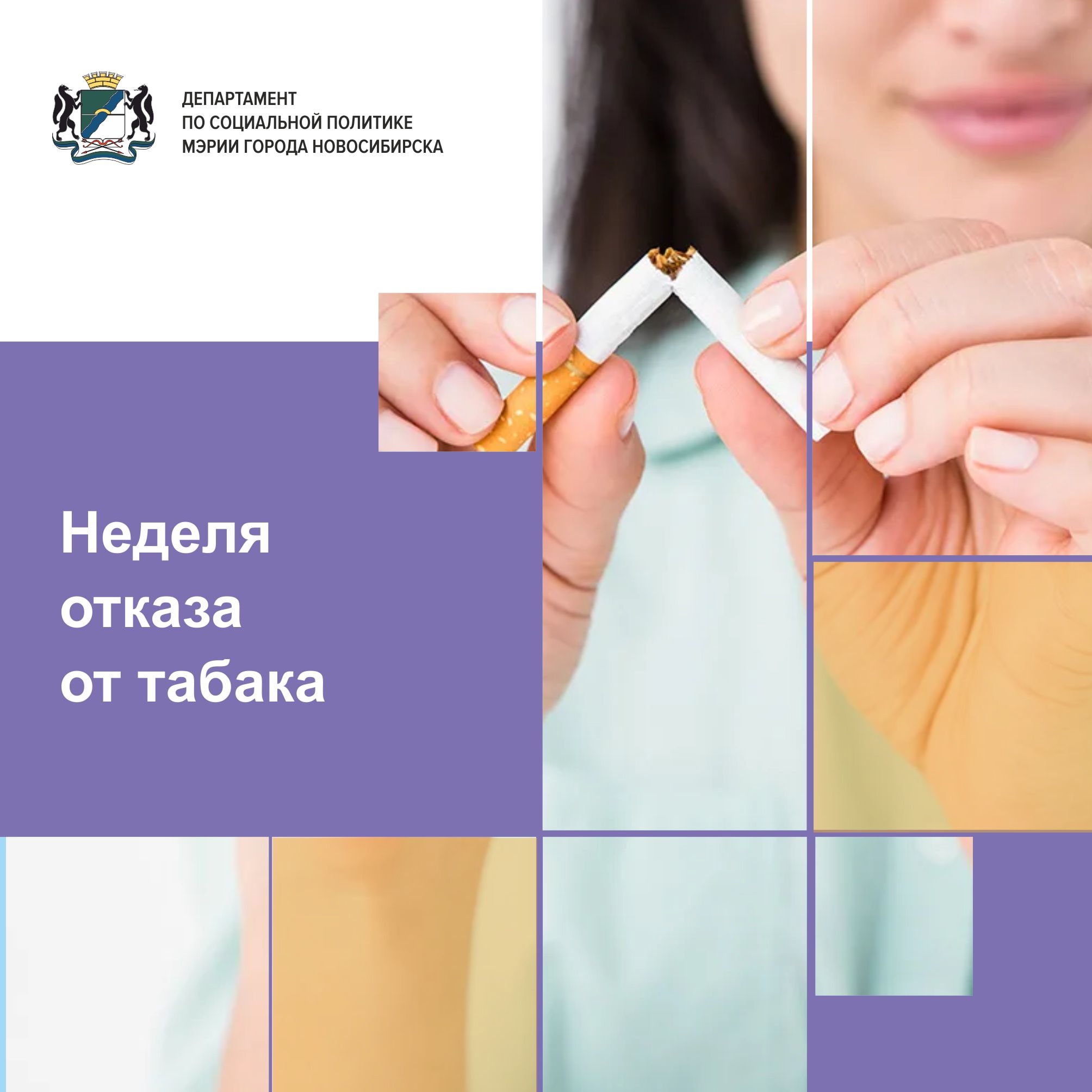 /children/DocLib2/NFmz90lec6M.jpg