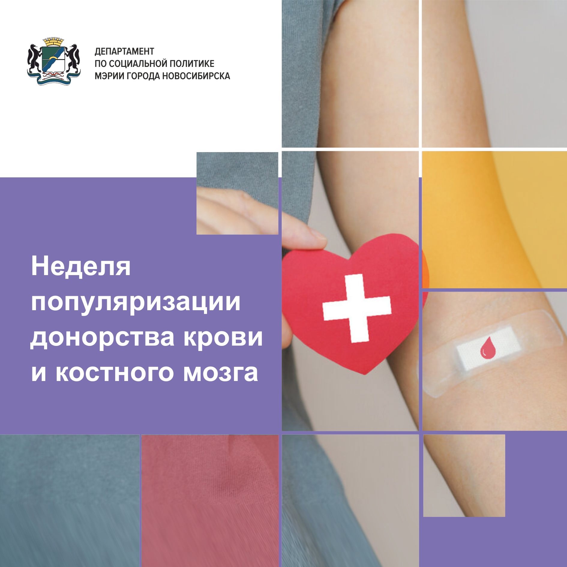 http://social.novo-sibirsk.ru/children/DocLib2/q2cZvKkw8NE.jpg